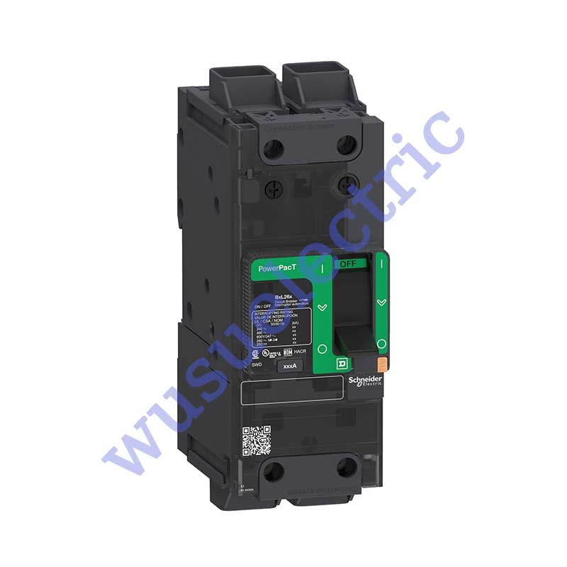 Schneider BGL26030LU Circuit breaker