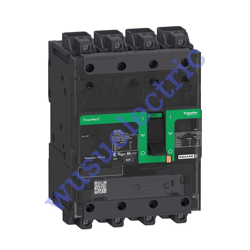 Schneider BGL46100LU Circuit breaker