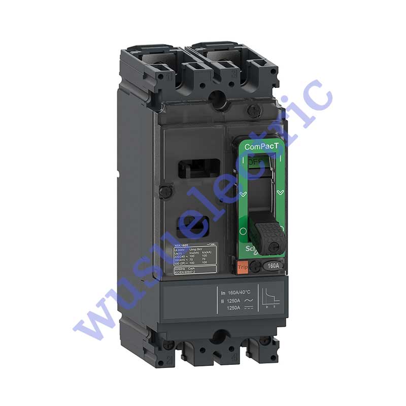 Schneider C10S2TM100 Circuit breaker