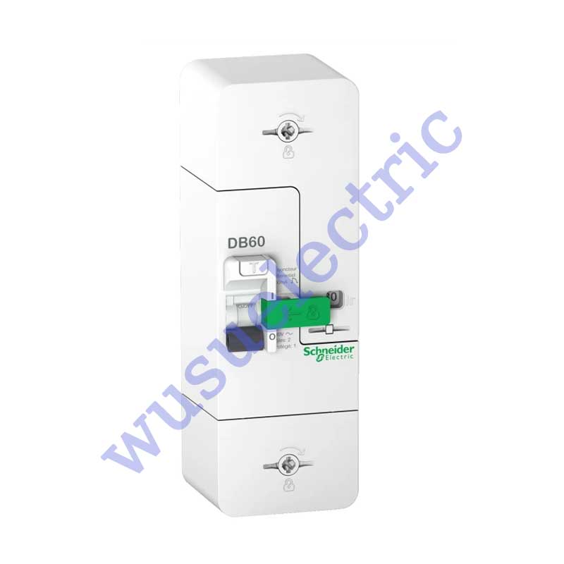 Schneider R9F​​N660 Residual current circuit breaker
