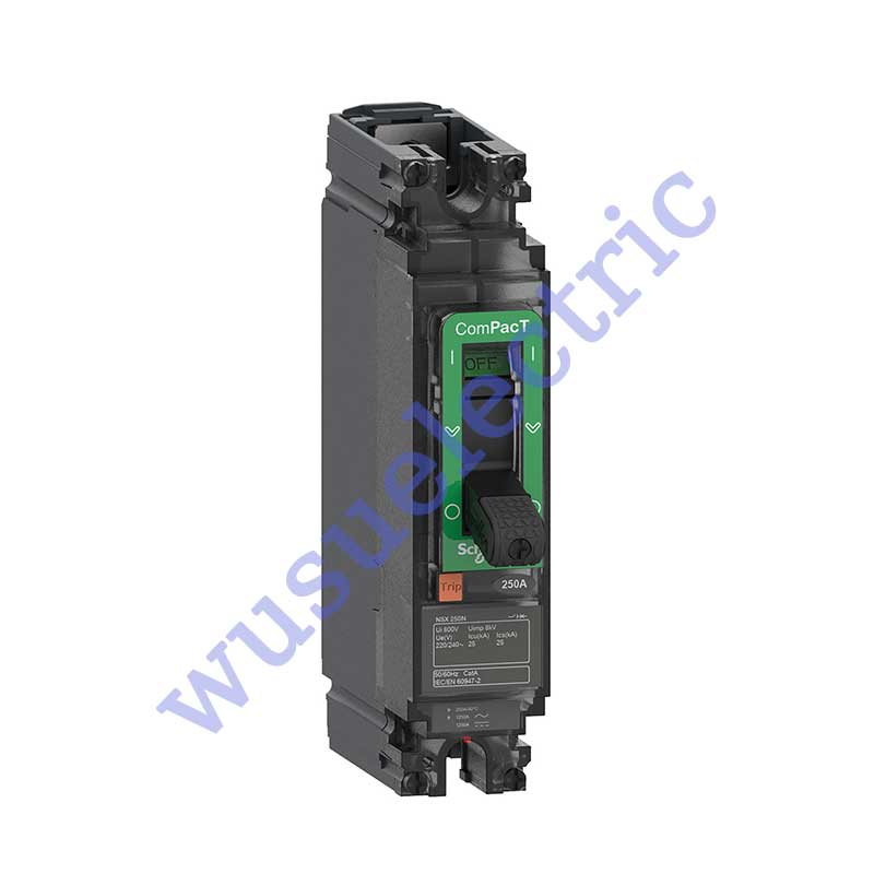 Schneider C10N1TM016 Circuit breaker