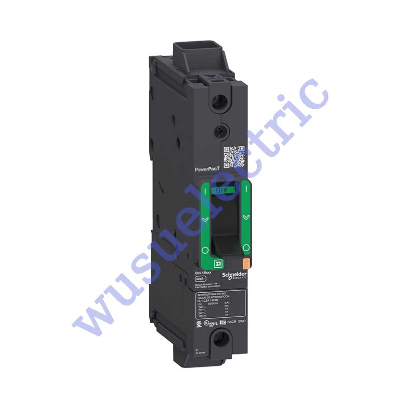 Schneider BGF16110 Circuit breaker