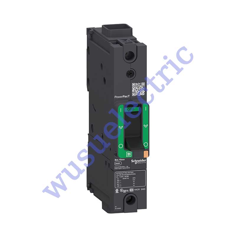 Schneider BGF16125 Circuit breaker