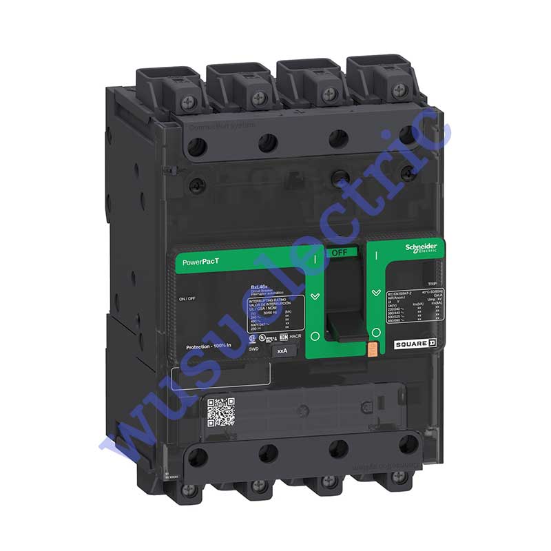 Schneider BDL46070LU Circuit breaker