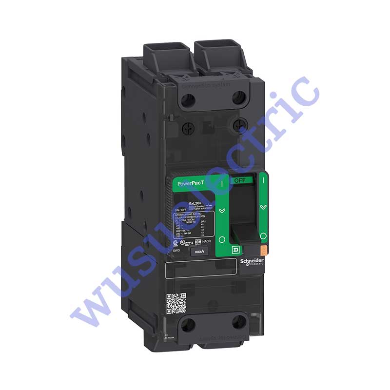 Schneider BGL26040LU Circuit breaker