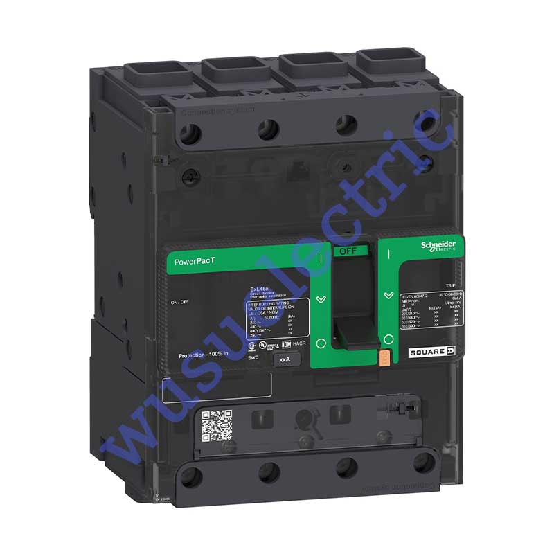 Schneider BGF46100 Circuit breaker