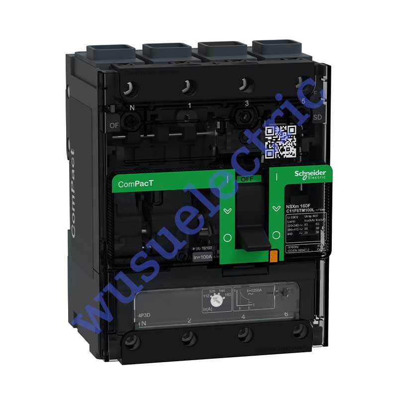 Schneider C11F6TM100L Circuit breaker